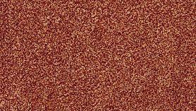 Ковролин AW Masquerade Corallina 84, 1 м.кв.